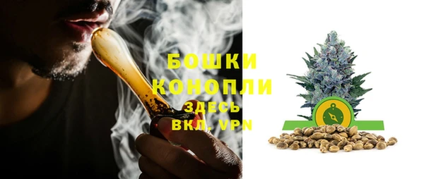 дживик Володарск