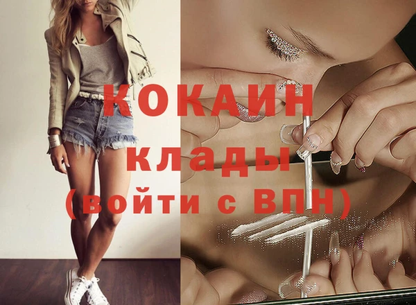 дживик Володарск