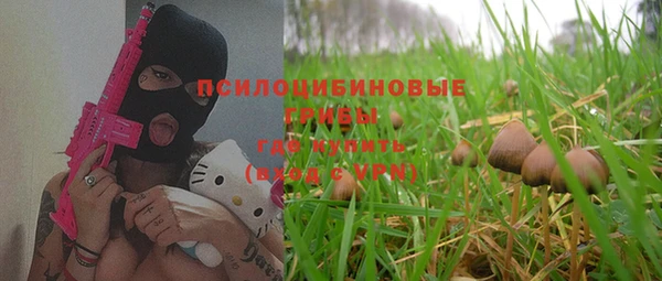 дживик Володарск