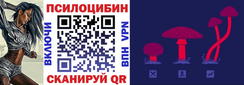 Псилоцибиновые грибы мухоморы Жердевка
